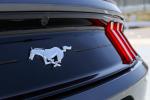 Ford Mustang EcoBoost Fastback 2017 года (JP)